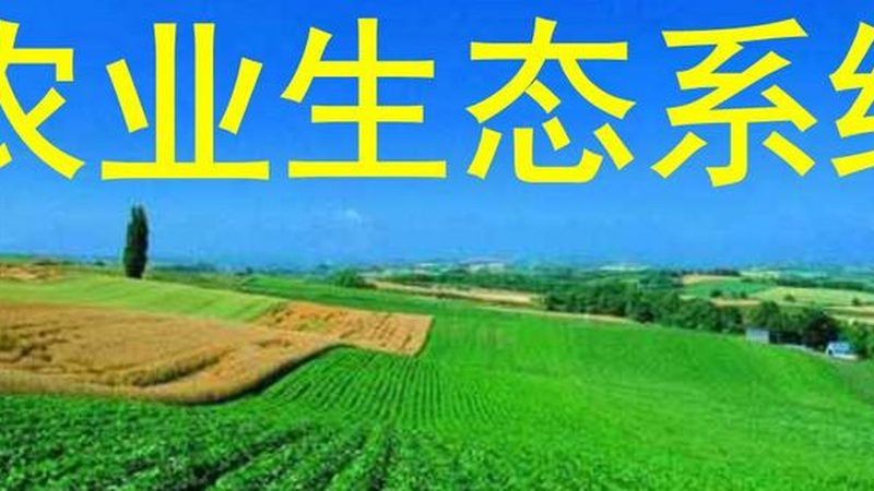 生鲜配送岗位到底需要什么样的人