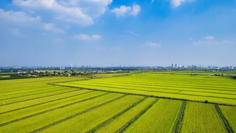 农民专业合作社注册失败，背后原因分析