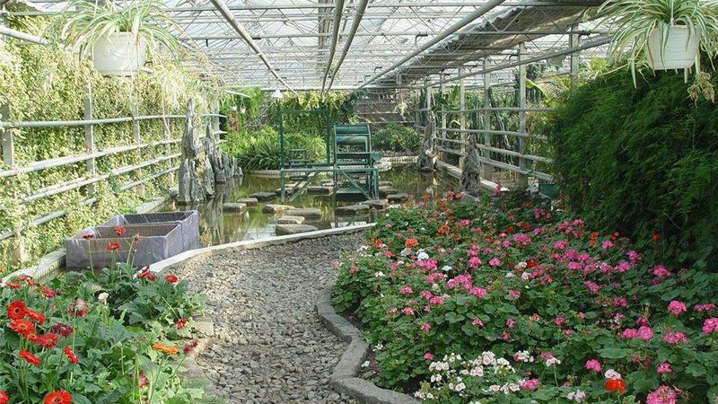 水果种植土壤排水要求：如何确保果实品质与产量