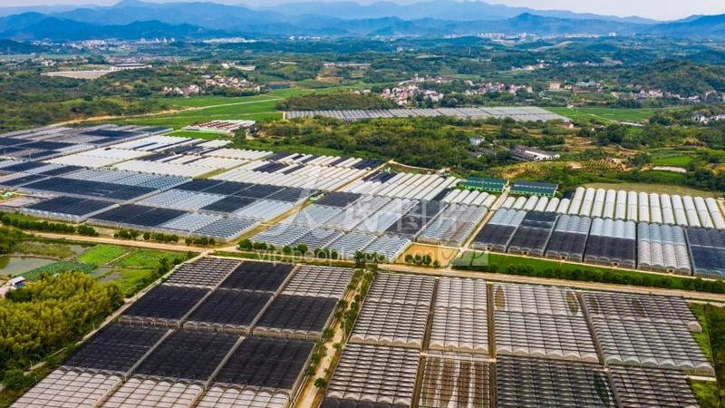 冷链物流方案：价格背后的考量因素