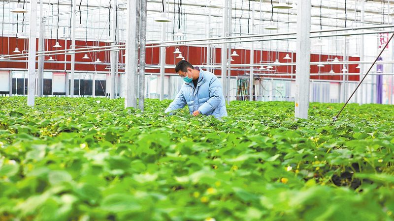 生态农业设备：助力绿色种植的未来之星