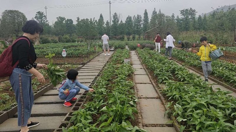 播种机：2000-10000元