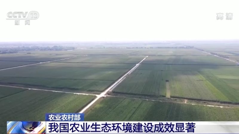 合作社品牌注册哪家服务好