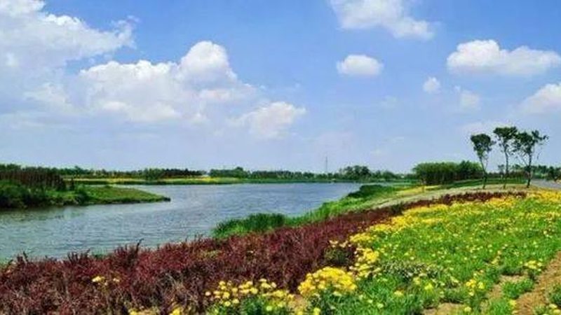家庭农场与合作社：差异解析与选择指南