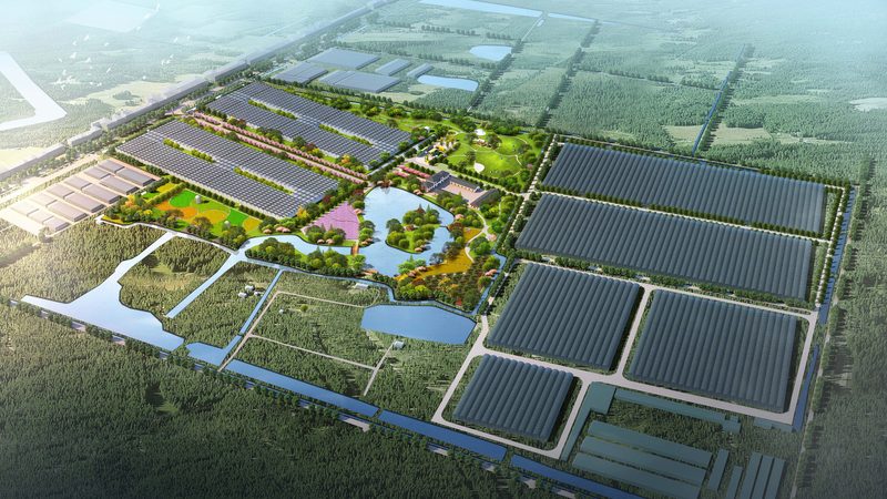 成都生鲜配送中心建设方案：构建高效冷链物流的关键要素