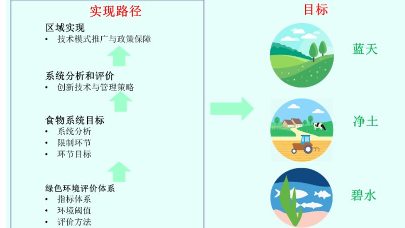 农药价格行情走势图解析：揭秘市场动态与决策要点