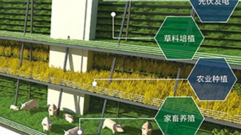 北京有机蔬菜加盟哪家好