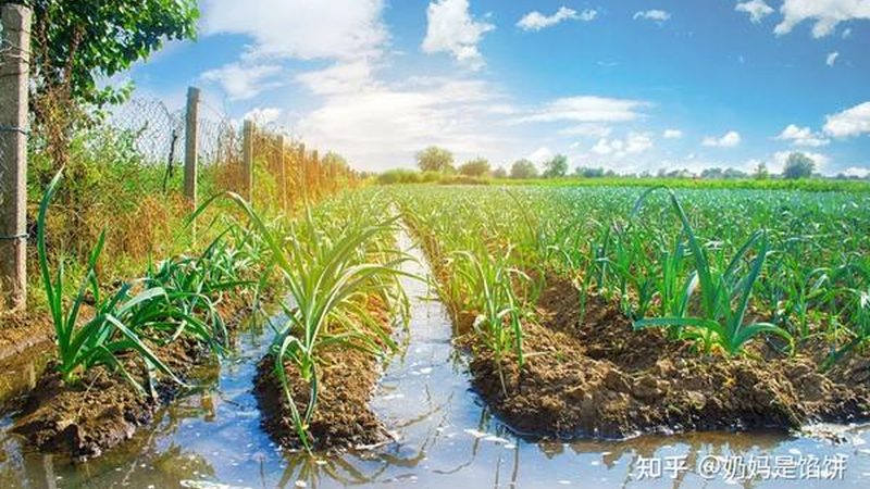广州农产品批发档口入驻全流程解析**