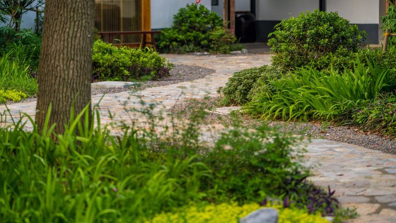 家庭农场种植规划方案