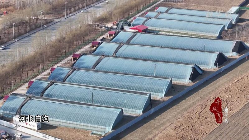 农业研学基地设计参数：打造高效生态教育平台的关键