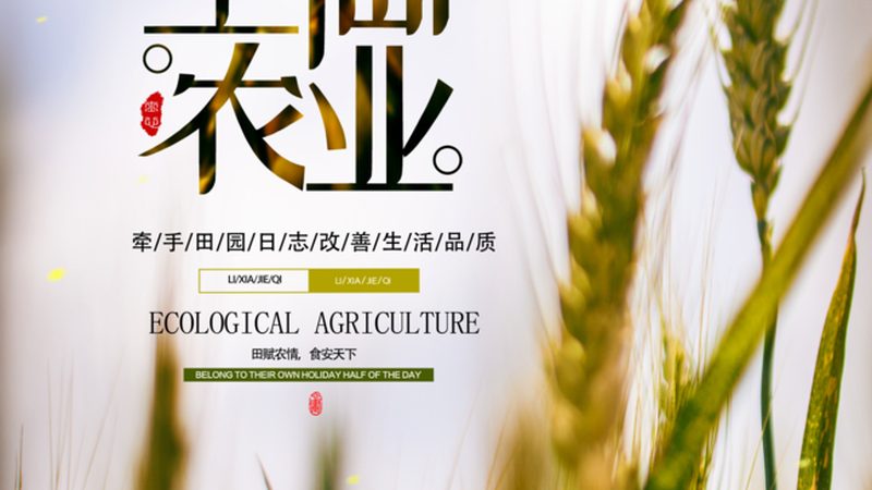 粮食作物病虫害防治：传统与新型技术的对比解析**